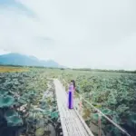 Góc ‘sống ảo’ xịn sò ở Phú Thọ gọi tên đầm sen Bạch Thủy