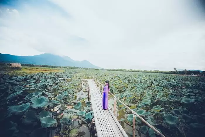 Góc ‘sống ảo’ xịn sò ở Phú Thọ gọi tên đầm sen Bạch Thủy