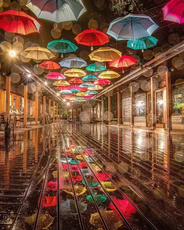 Ice Cream Maker Free Chocolate