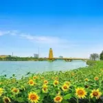 Công viên Văn Lang – Việt Trì, Phú Thọ, một điểm check-in rất đáng ghé nếu bạn lên kế hoạch khám phá vùng đất Tổ